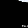 shinnobu14