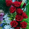 user8402439662804