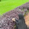 siti_safinatunnajah