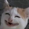 ogikz7