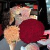 babylive161
