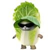 user70092828802621