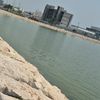 hanadialsaud