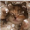 urfav_me1234321