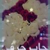 user30505854229472