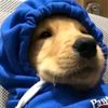 notalkmepls