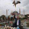 murat.ermik