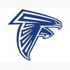 turnerfalcons