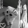 aretm_sus338