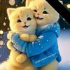 user1263050408733