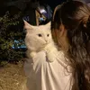 dene_457
