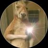 oliver_cabra