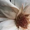 DonnagNathanielfG