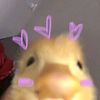 s3ll_aww