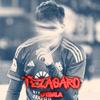 tezagaro_suka_madrid