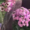 luckytcong0127658