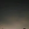 huh.12243