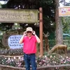 tronghieu.73