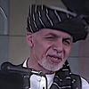 safi.263