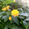 userlay137