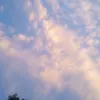 ghbbcfxbb8