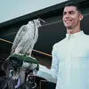 hh7cr7