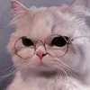 johnharold269