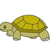 tortue.doree.acce