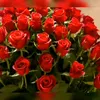 user1520884153801