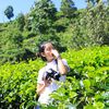 wiwik4027