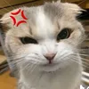 18765679518farizi