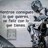 guanaco.503135