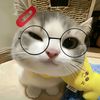noah_z00