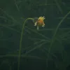eeennn_12