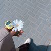 fareeda.hamdy23