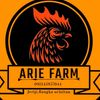ariek50