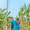 sumon87094
