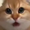 yun_m33