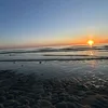 oceaneroussel4