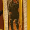 igna_cia7774