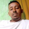beshir558