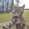 user_storm12