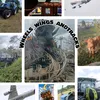 wheels_wings_andtracks