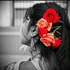 kajol.aladuddin