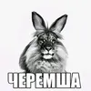 matvei_24f