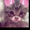 cgn.marie31