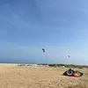 mx_gibbz