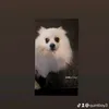 quintboy3