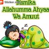 bajumahalcelanadoreng27