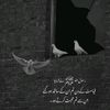 shabana_mughal06